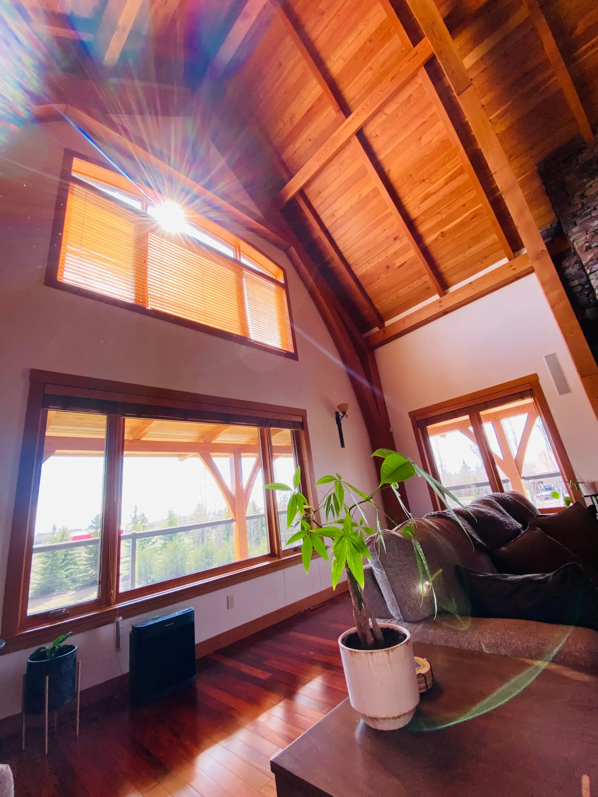 Professional window cleaning - spotless results every time