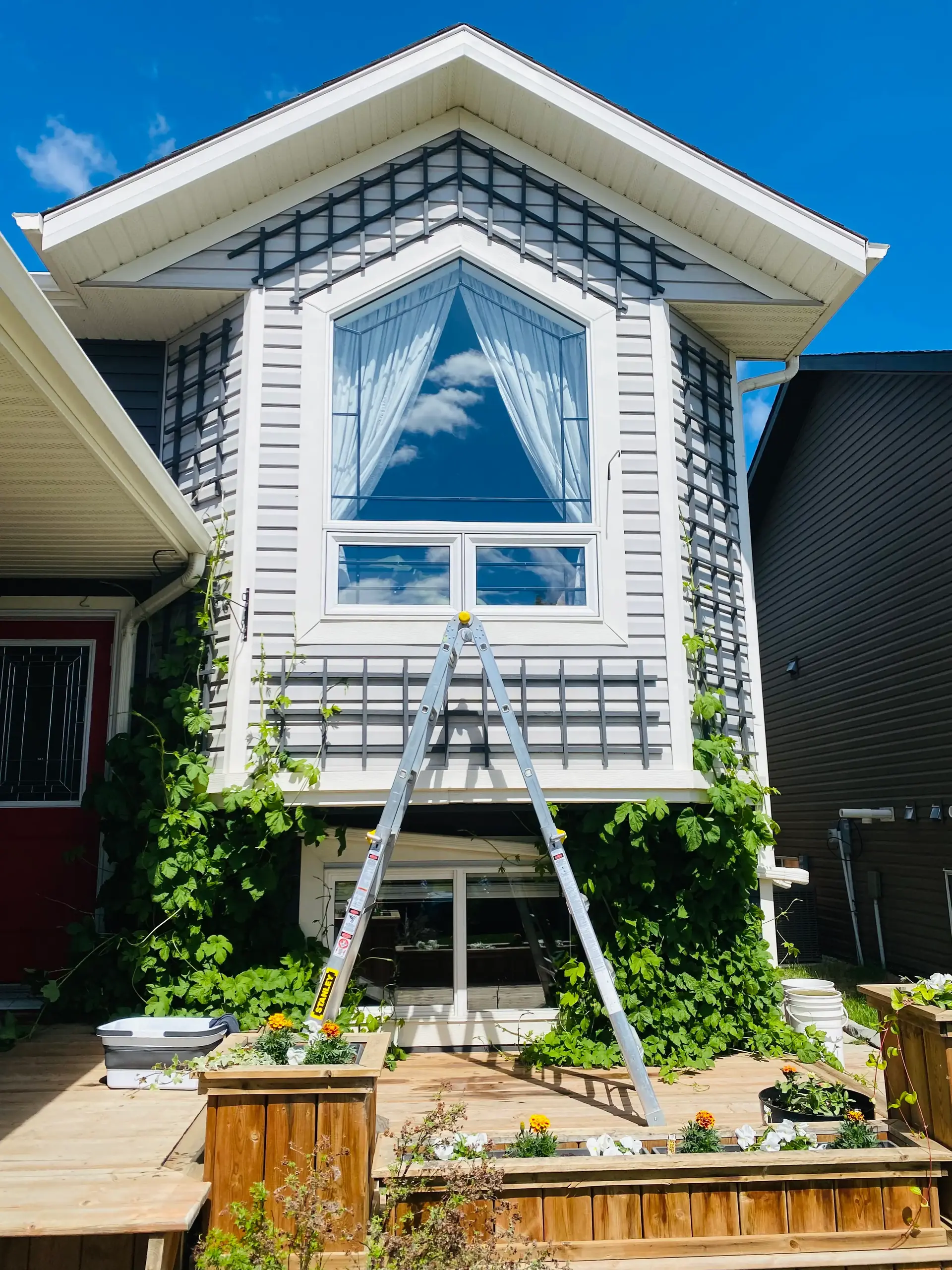 Exterior Window Cleaning 5