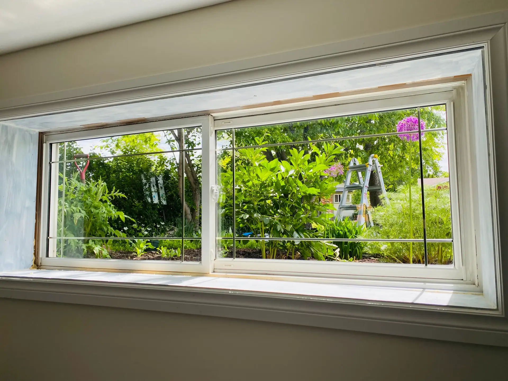 Interior Window Cleaning 1