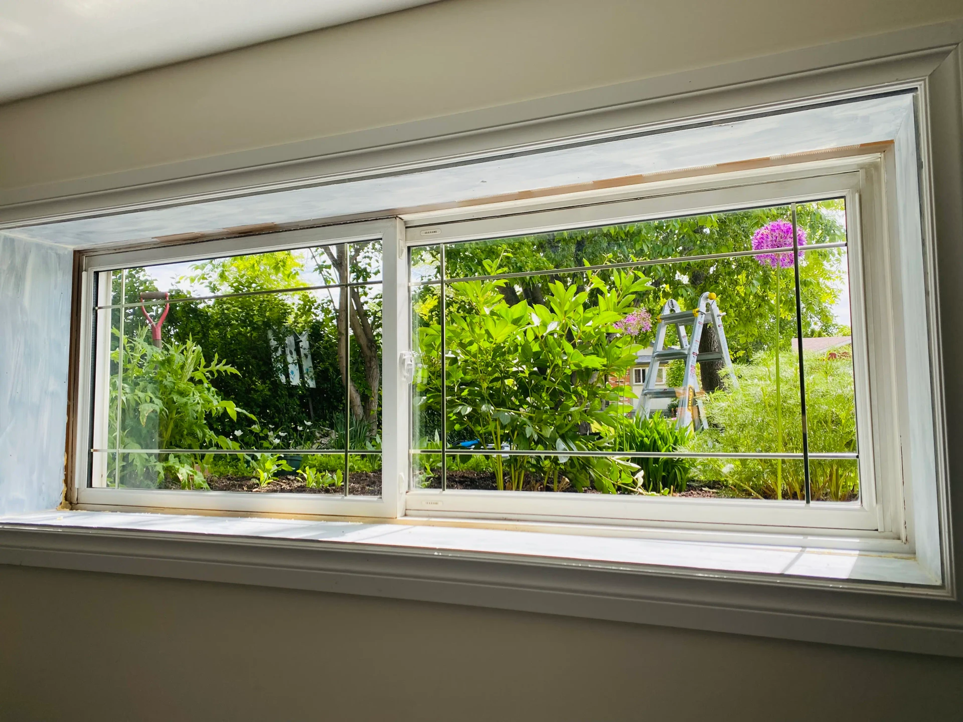 Interior Window Cleaning 1