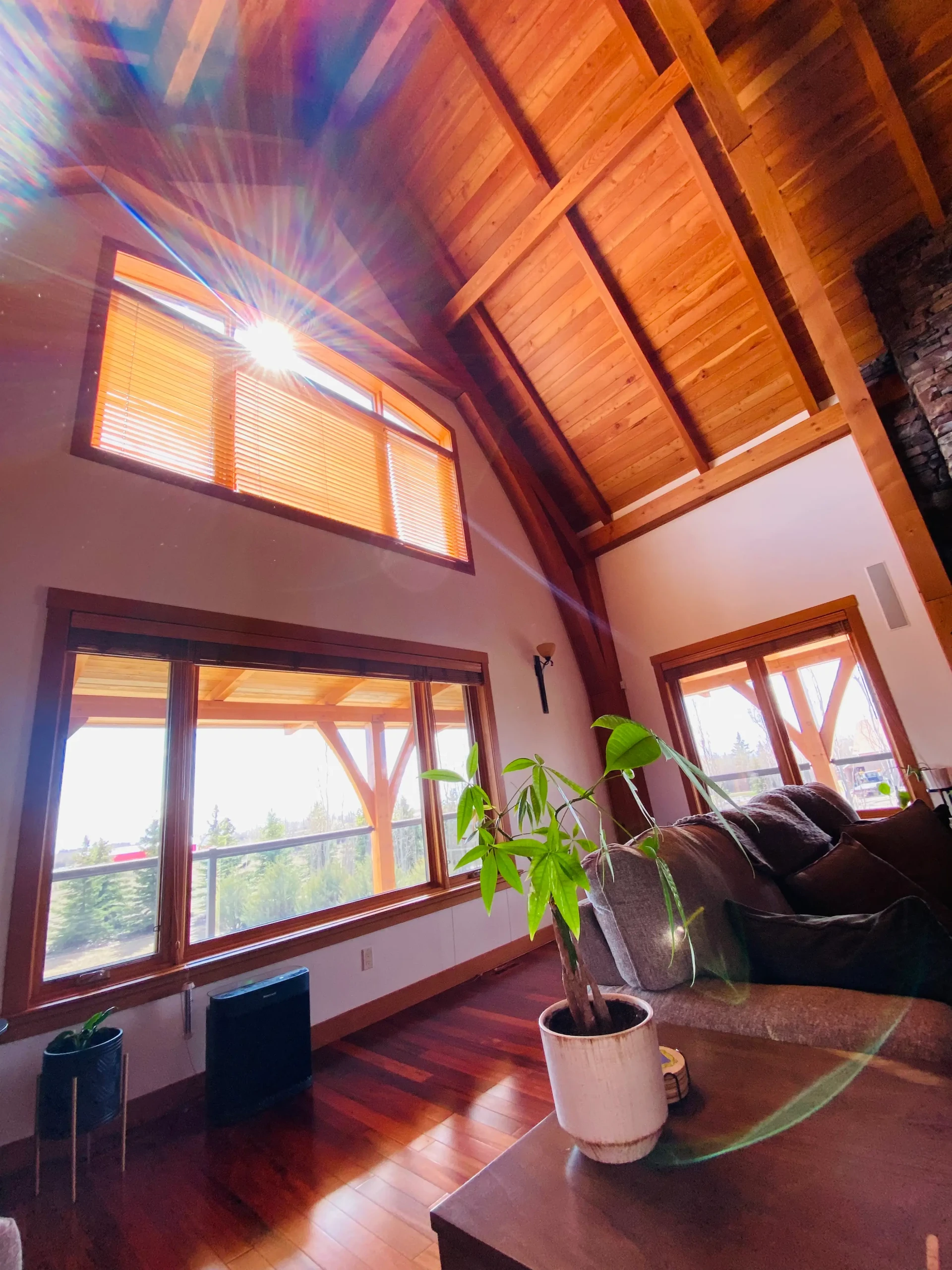 Interior Window Cleaning 7